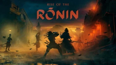 Rise of the Ronin